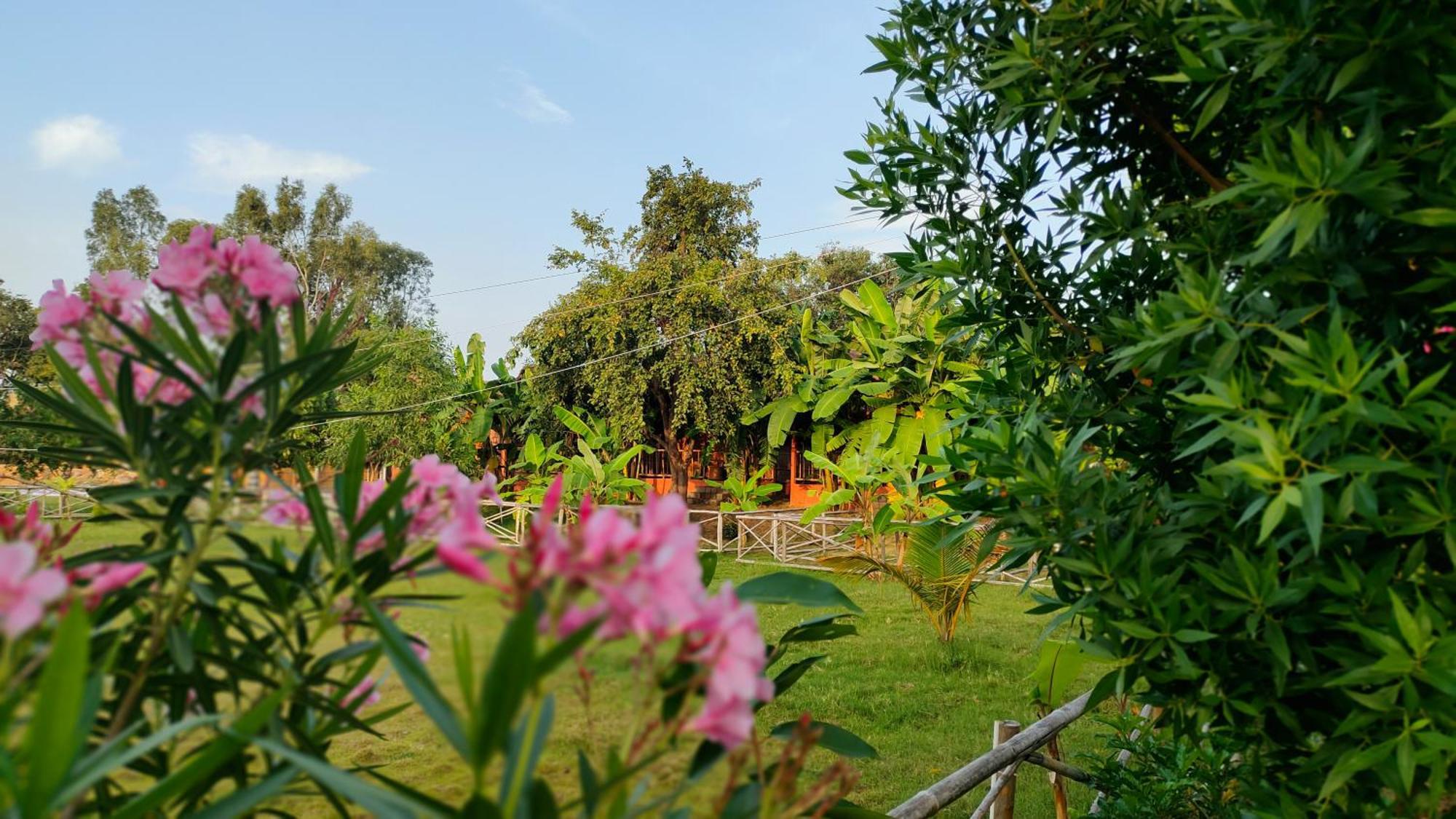 Waterfall Guesthouse Hampi Bagian luar foto