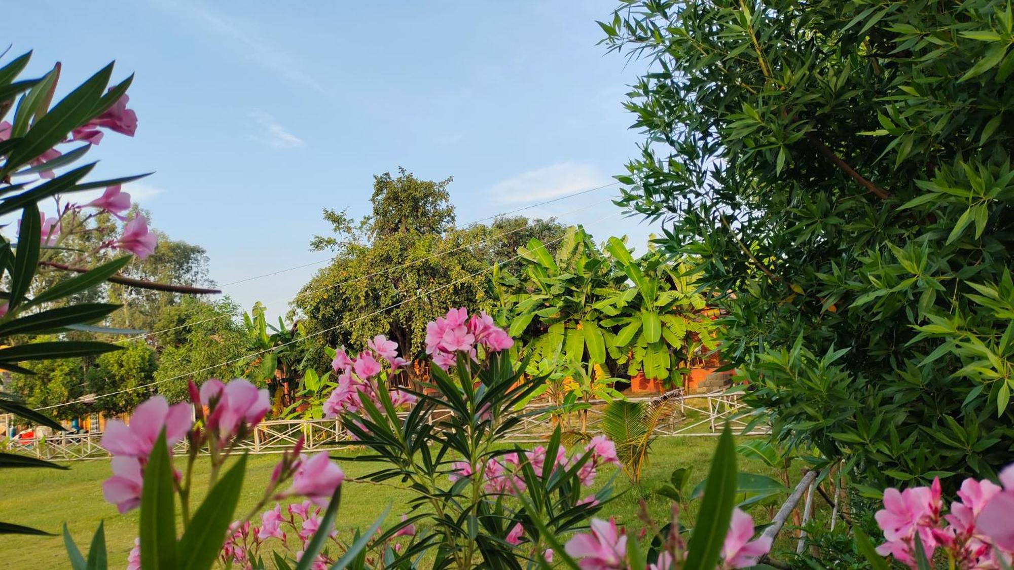 Waterfall Guesthouse Hampi Bagian luar foto
